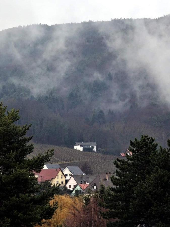Birgele Villa Риквир Екстериор снимка